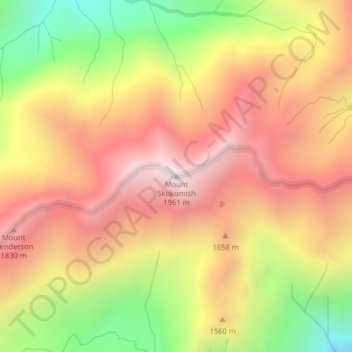 Mappa topografica Mount Skokomish, altitudine, rilievo