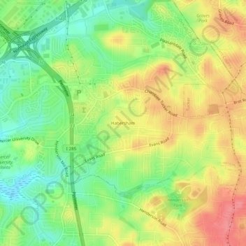 Mappa topografica Habersham, altitudine, rilievo