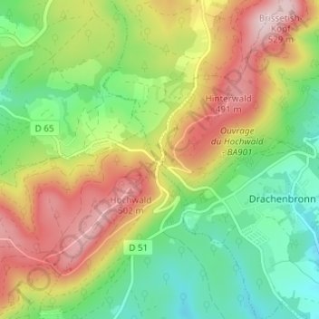 Mappa topografica Col du Pfaffenschlick, altitudine, rilievo