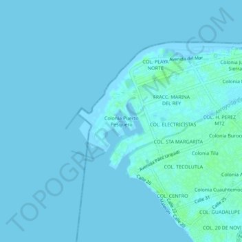 Mappa topografica Colonia Puerto Pesquero, altitudine, rilievo