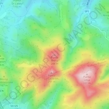 Mappa topografica Punta Arena, altitudine, rilievo