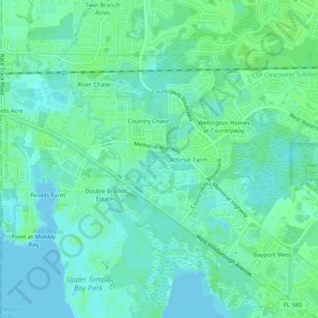 Mappa topografica Saltmarsh, altitudine, rilievo