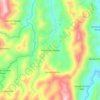 Mappa topografica Vereda La Trinidad, altitudine, rilievo