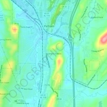 Mappa topografica Blueberry Estates, altitudine, rilievo