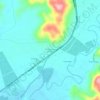 Mappa topografica Puringue Los Ciruelos, altitudine, rilievo