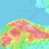 Mappa topografica Coihue, altitudine, rilievo