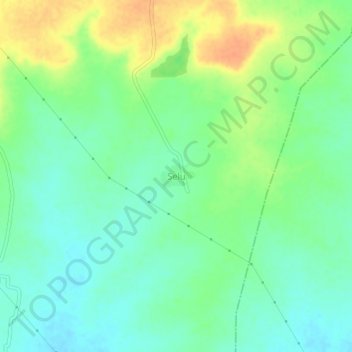 Mappa topografica Selu, altitudine, rilievo