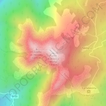 Mappa topografica Punta di a Vacca Morta, altitudine, rilievo