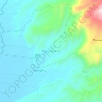 Mappa topografica Ninoy Aquino, altitudine, rilievo