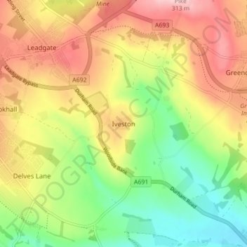 Mappa topografica Iveston, altitudine, rilievo