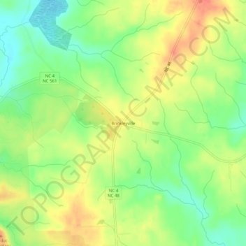 Mappa topografica Brinkleyville, altitudine, rilievo