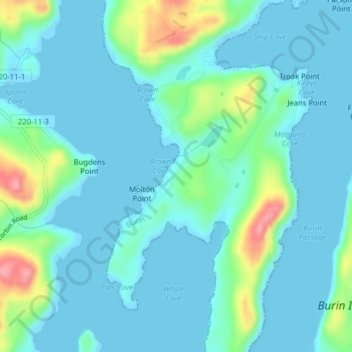 Mappa topografica Burin Bay, altitudine, rilievo