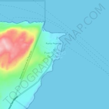 Mappa topografica Puerto General San Martin, altitudine, rilievo