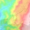 Mappa topografica Bacong-Sigsigan, altitudine, rilievo