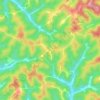 Mappa topografica Link, altitudine, rilievo