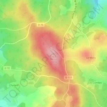 Mappa topografica Puy du Bassin, altitudine, rilievo