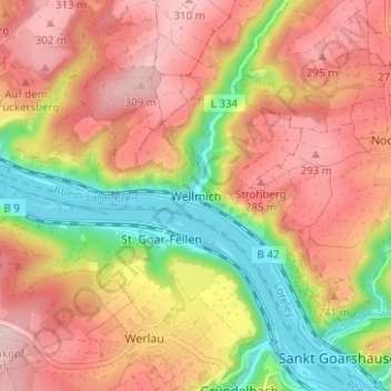 Mappa topografica Wellmich, altitudine, rilievo