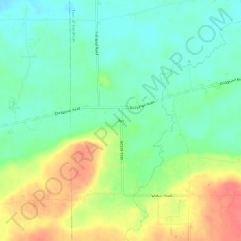 Mappa topografica Ray, altitudine, rilievo
