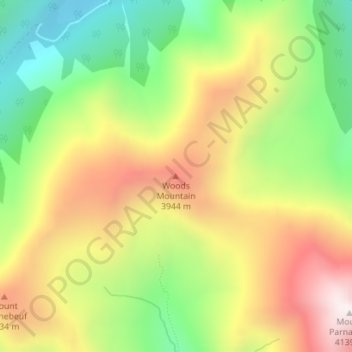 Mappa topografica Woods Mountain, altitudine, rilievo