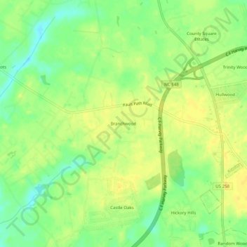 Mappa topografica Branchwood, altitudine, rilievo