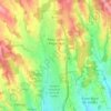 Mappa topografica Palau-solità i Plegamans, altitudine, rilievo