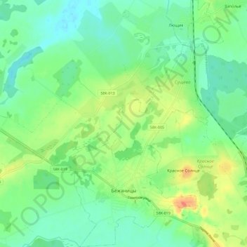 Mappa topografica городское поселение Бежаницы, altitudine, rilievo