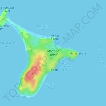 Mappa topografica Motuihe Island, altitudine, rilievo