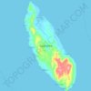 Mappa topografica Capul Island, altitudine, rilievo