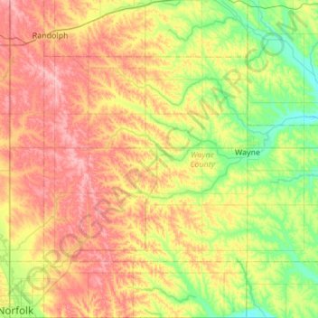 Mappa topografica Wayne County, altitudine, rilievo