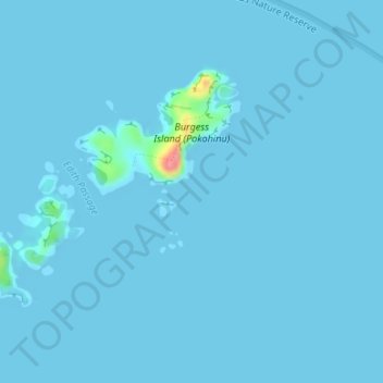 Mappa topografica Mokohinau Islands, altitudine, rilievo