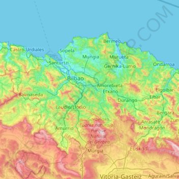 Mappa topografica Bizkaia, altitudine, rilievo