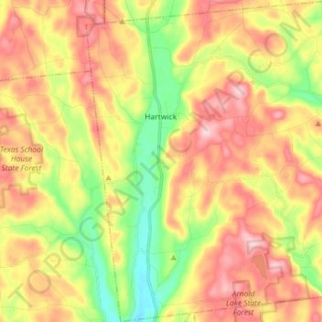 Mappa topografica Town of Hartwick, altitudine, rilievo