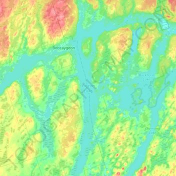 Mappa topografica Pigeon Lake, altitudine, rilievo