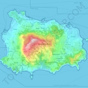 Mappa topografica Ischia, altitudine, rilievo