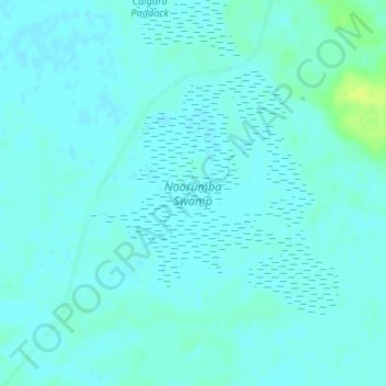 Mappa topografica Noorumba Swamp, altitudine, rilievo