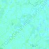 Mappa topografica Newchurch, altitudine, rilievo