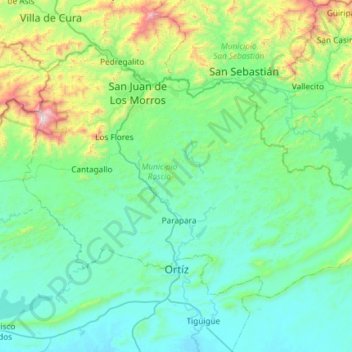 Mappa topografica Municipio Juan Germán Roscio, altitudine, rilievo