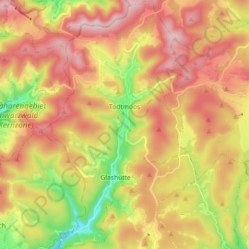 Mappa topografica Todtmoos, altitudine, rilievo