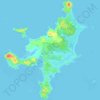 Mappa topografica Ruapuke Islands, altitudine, rilievo