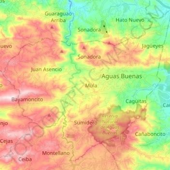 Mappa topografica Aguas Buenas, altitudine, rilievo