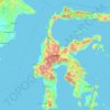 Mappa topografica Sulawesi, altitudine, rilievo