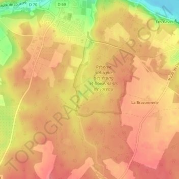 Mappa topografica Étang de Joreau, altitudine, rilievo