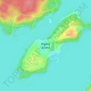 Mappa topografica Bigwin Island, altitudine, rilievo