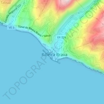Mappa topografica Ribeira Brava, altitudine, rilievo