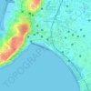 Mappa topografica Girgaum Chowpatty Beach, altitudine, rilievo