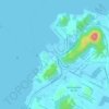 Mappa topografica Rio da Pedreira, altitudine, rilievo