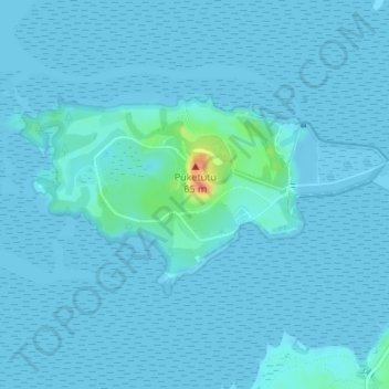 Mappa topografica Puketutu Island, altitudine, rilievo