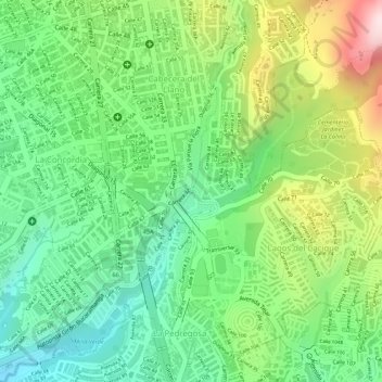 Mappa topografica Parque La Flora, altitudine, rilievo