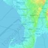Mappa topografica Manila, altitudine, rilievo